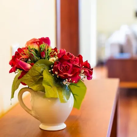 ゲストハウス Guestready - Yellow House In The Mountain ポンタ・ド・ソル