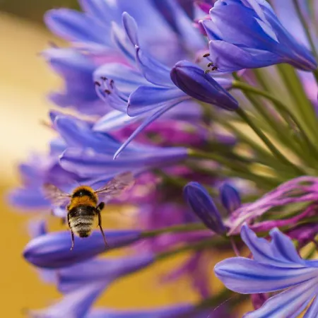 Pensjonat Guestready - Yellow House In The Mountain