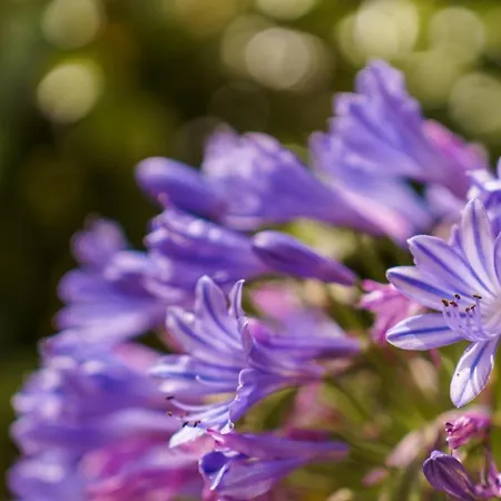 Guestready - Yellow House In The Mountain